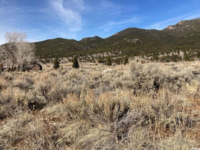 #4, Pine Valley, UT 84781 — photo 5