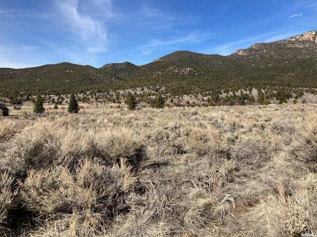 #4, Pine Valley, UT 84781 — photo 3