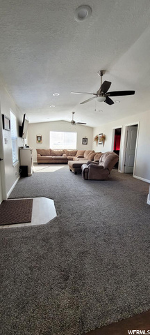61 S 100 W, Mona, UT 84645 — photo 8