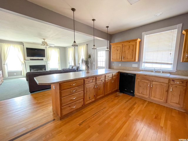 3205 Ovid Rd, Bern, ID 83220 — photo 9