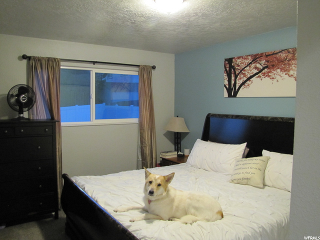 11592 S 1700 E, Sandy, UT 84092 — photo 12