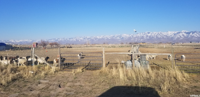 12180 N 4800 W, Cornish, UT 84308 — photo 3
