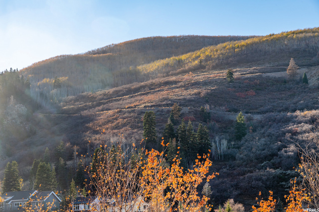 86 Prospect Ave #2, Park City, UT 84060 — photo 11