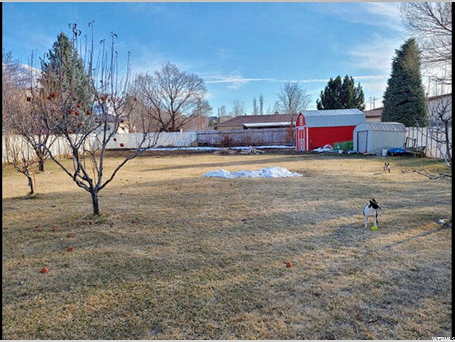 2365 S - Variety fruit trees