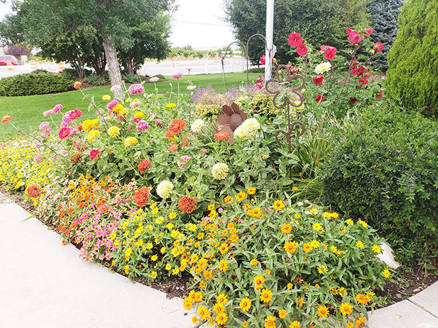 2365 S - More flowers