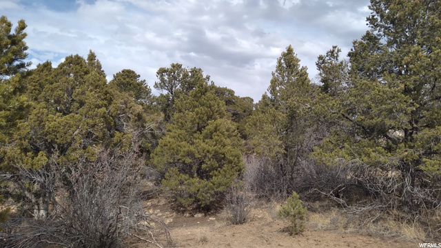 #43, Fruitland, UT 84027 — photo 5