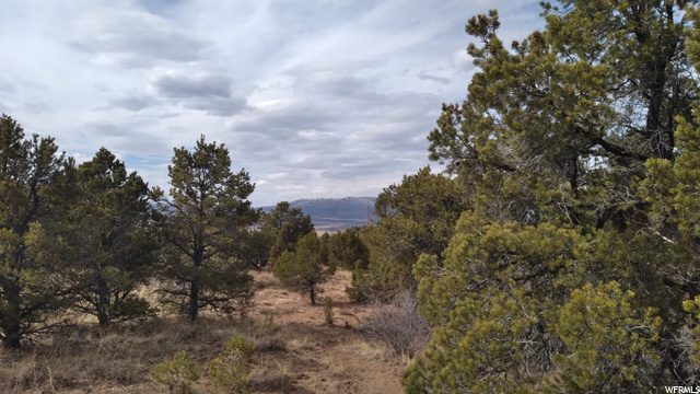 #43, Fruitland, UT 84027 — photo 6