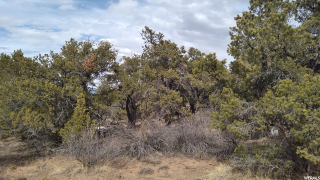 #43, Fruitland, UT 84027 — photo 7