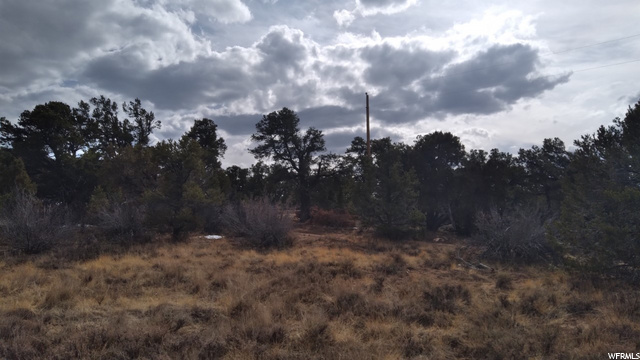 #43, Fruitland, UT 84027 — photo 3