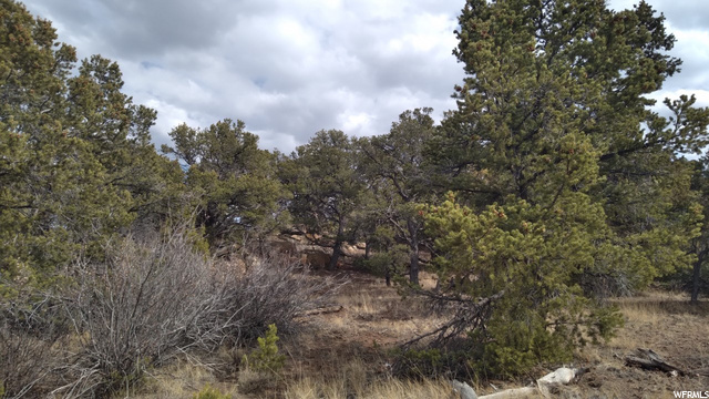 #43, Fruitland, UT 84027 — photo 4