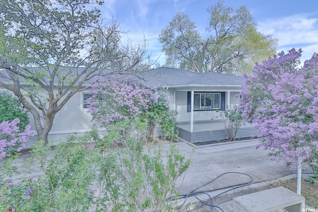 4196 Palmer Rd, Erda, UT 84074 — photo 3