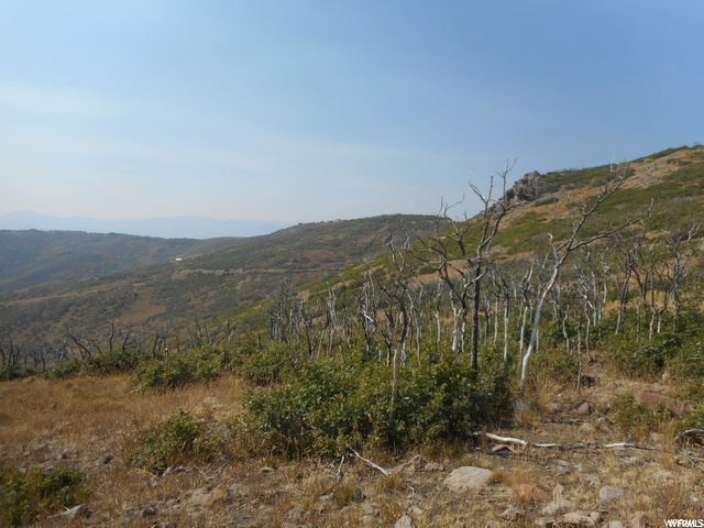14 Kent Cyn #14, Wanship, UT 84017 — photo 3
