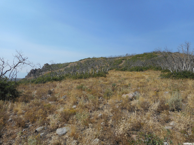 14 Kent Cyn #14, Wanship, UT 84017 — photo 4
