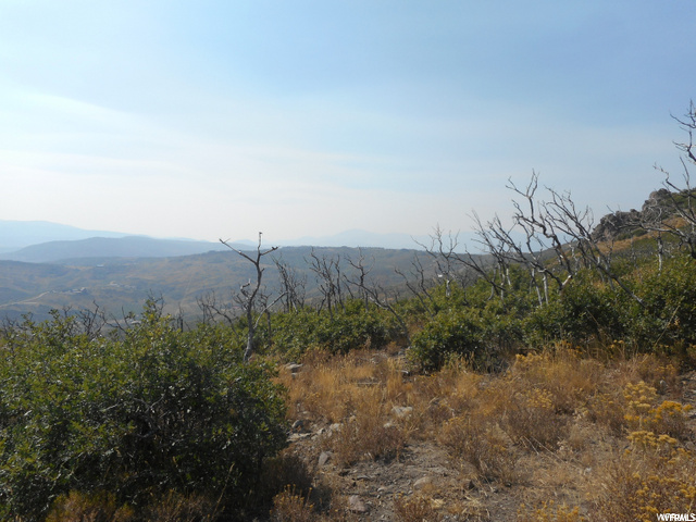 14 Kent Cyn #14, Wanship, UT 84017 — photo 7
