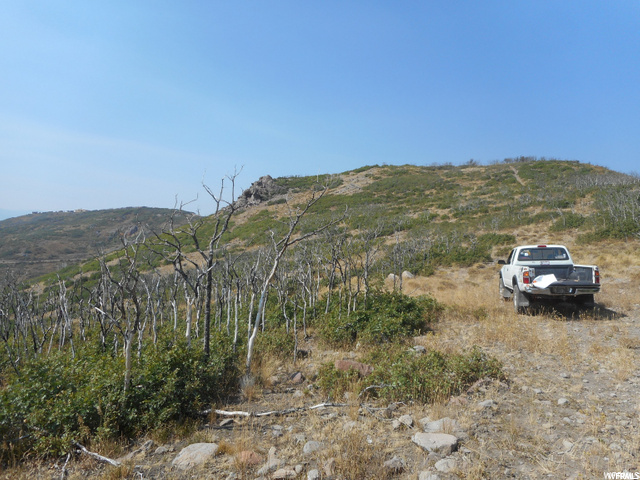 14 Kent Cyn #14, Wanship, UT 84017 — photo 2