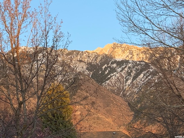 18 Birchtree Ln, Sandy, UT 84092 — photo 10