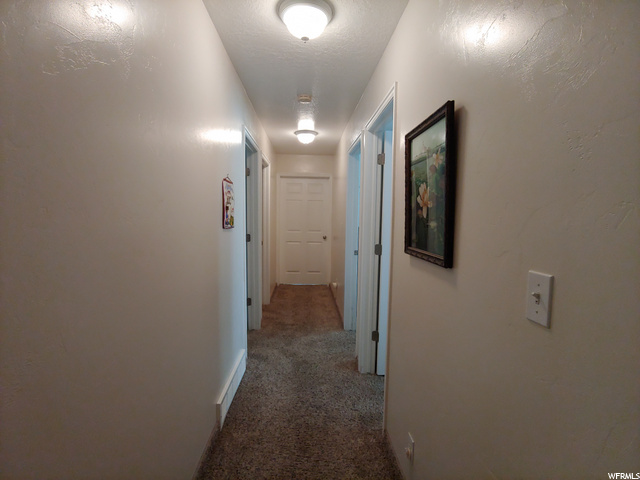 105 E 340 N, Mona, UT 84645 — photo 11