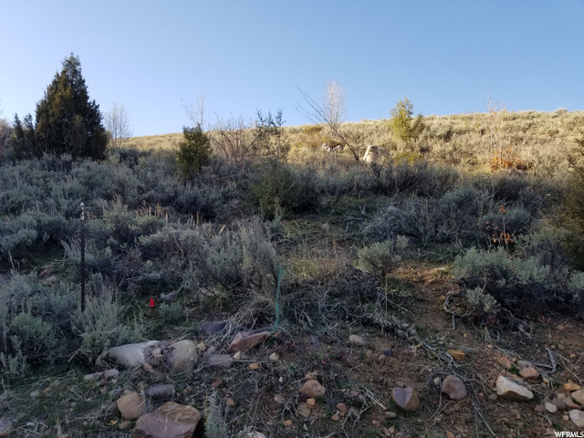 #31, Huntsville, UT 84317 — photo 3