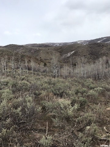 #128, Huntsville, UT 84317 — photo 8