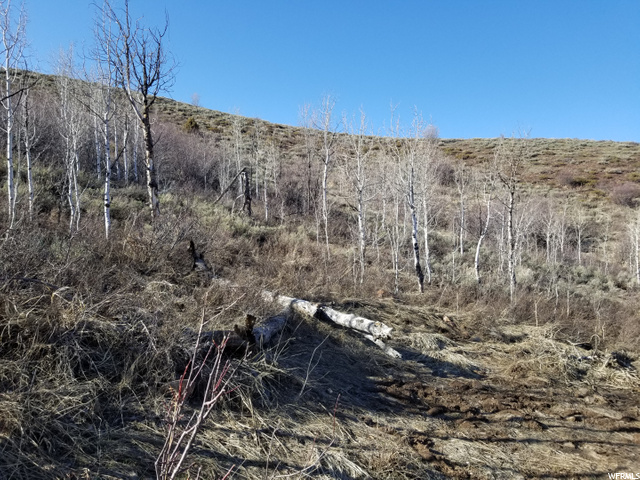 #128, Huntsville, UT 84317 — photo 3