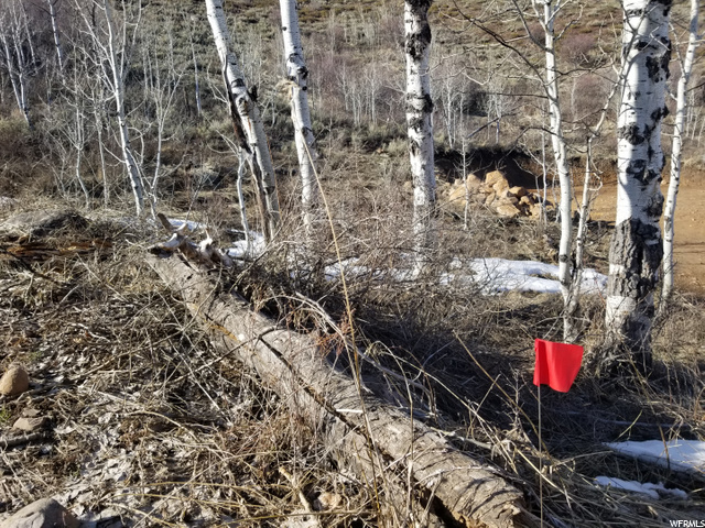 #128, Huntsville, UT 84317 — photo 6