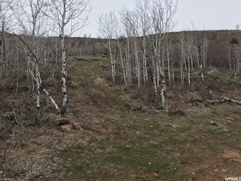 #128, Huntsville, UT 84317 — photo 9