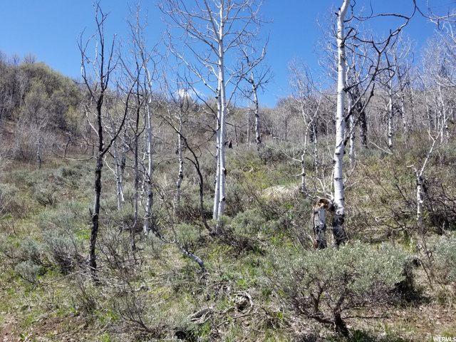 #128, Huntsville, UT 84317 — photo 10