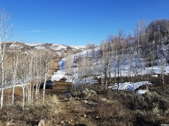 #128, Huntsville, UT 84317 — photo 5