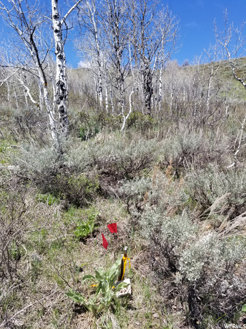 #128, Huntsville, UT 84317 — photo 2