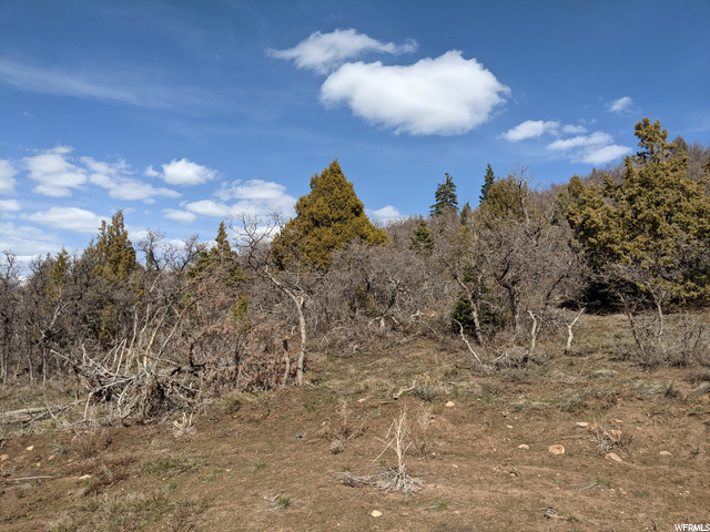 96 S Deer Run #96, Mt Pleasant, UT 84647 — photo 12