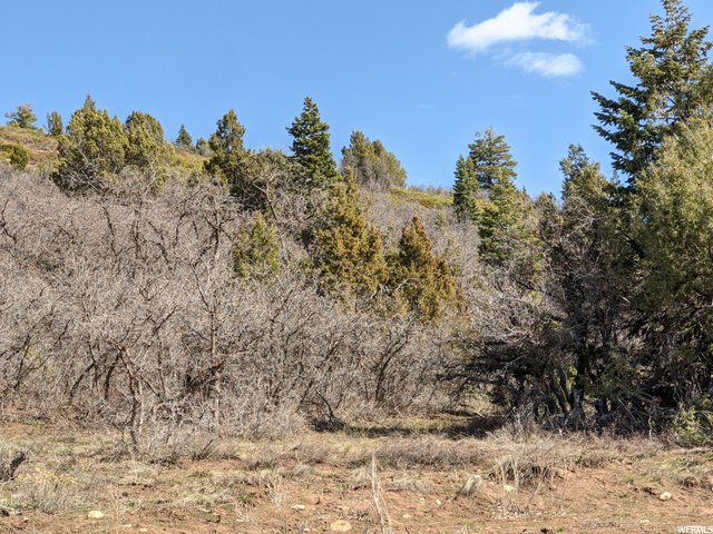 96 S Deer Run #96, Mt Pleasant, UT 84647 — photo 11