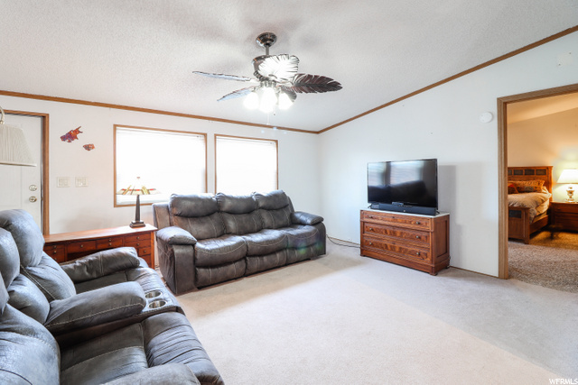 1250 E 2500 S, Naples, UT 84078 — photo 8