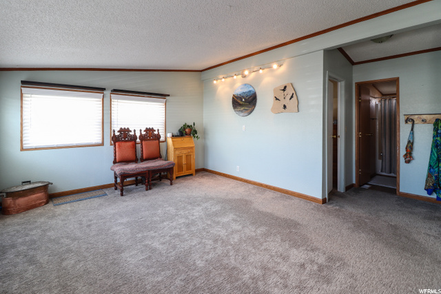 1250 E 2500 S, Naples, UT 84078 — photo 10