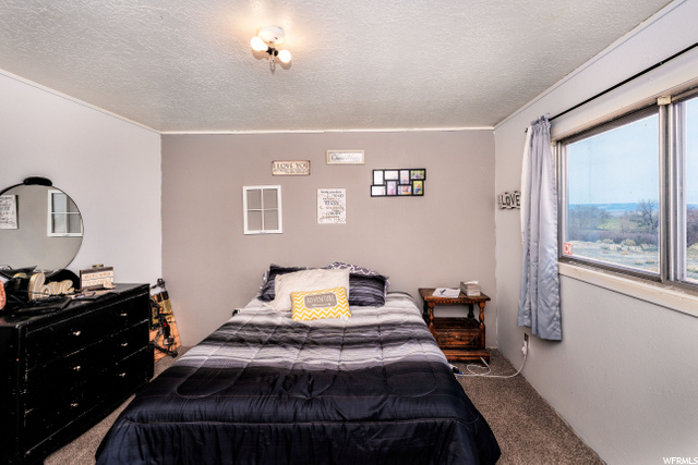 4323 S 2500 E, Vernal, UT 84078 — photo 9