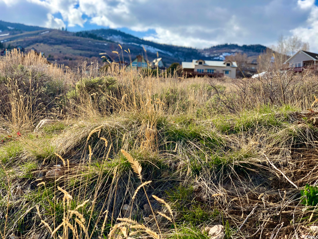 154 Lewis Loop #89, Fish Haven, ID 83287 — photo 4