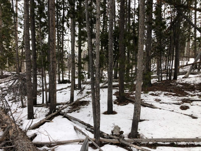 3036 Uinta Dr #74C, Kamas, UT 84036 — photo 2