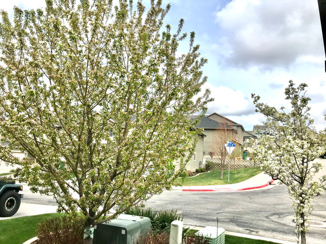 1836 E Whitetail Way, Layton, UT 84040 — photo 3