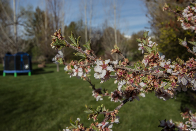 3173 S 500 W, Nibley, UT 84321 — photo 3