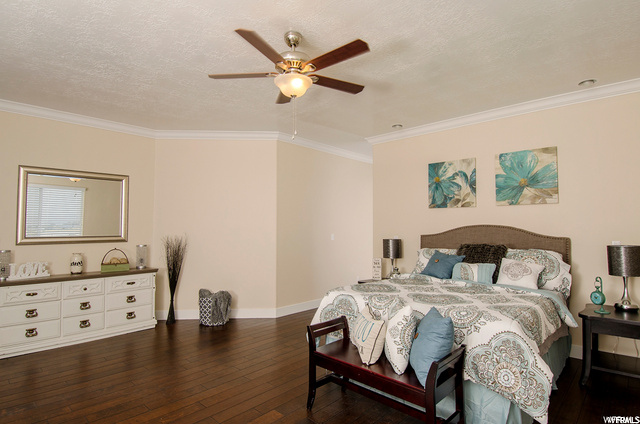 Main Floor Master bedroom