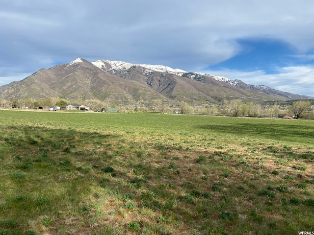 6805 S 2125 E #1, Uintah, UT 84405 — photo 9