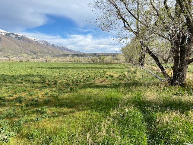 6805 S 2125 E #1, Uintah, UT 84405 — photo 7