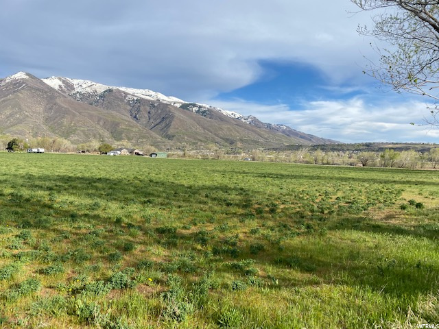 6805 S 2125 E #1, Uintah, UT 84405 — photo 6