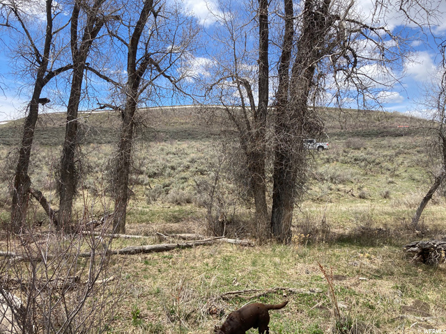 #108, Montpelier, ID 83254 — photo 11