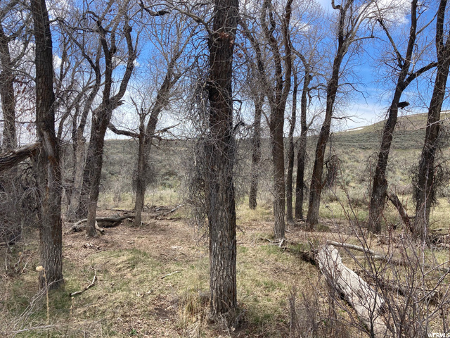 #108, Montpelier, ID 83254 — photo 9