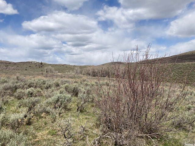#108, Montpelier, ID 83254 — photo 7