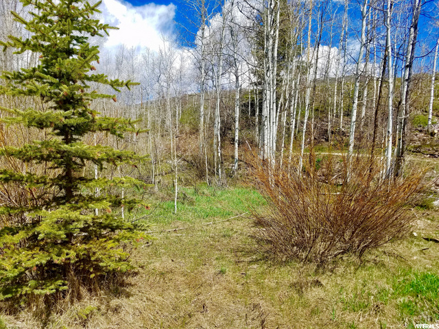 6455 E Weber Rd #1, Oakley, UT 84055 — photo 4