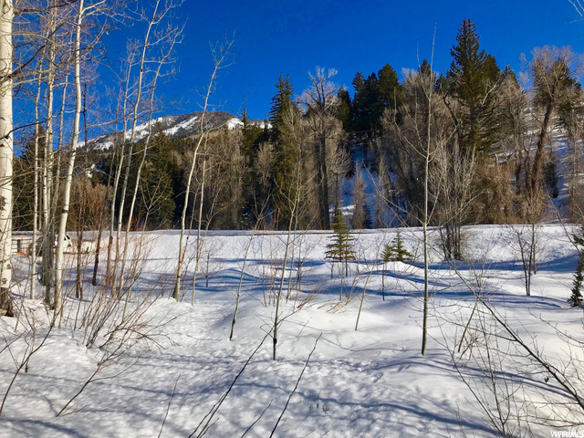 6455 E Weber Rd #1, Oakley, UT 84055 — photo 11