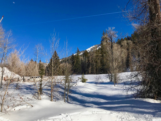 6455 E Weber Rd #1, Oakley, UT 84055 — photo 10