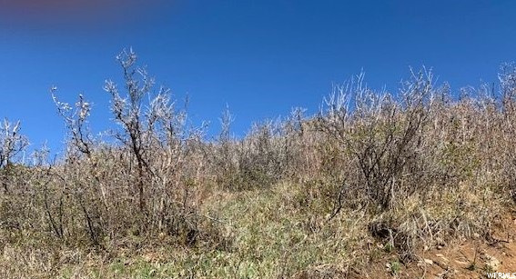 947 Lower Rdg #30, Kamas, UT 84036 — photo 2
