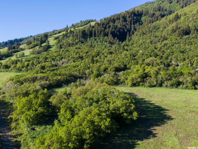 #14, Eden, UT 84310 — photo 3